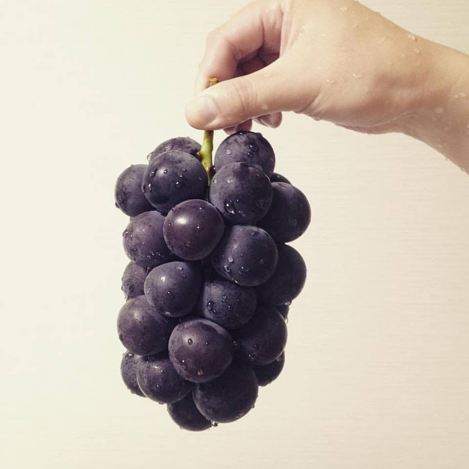 Delicious Kyoho Grapes | Handmade Leather Goods | Personalized Gifts | ES Corner